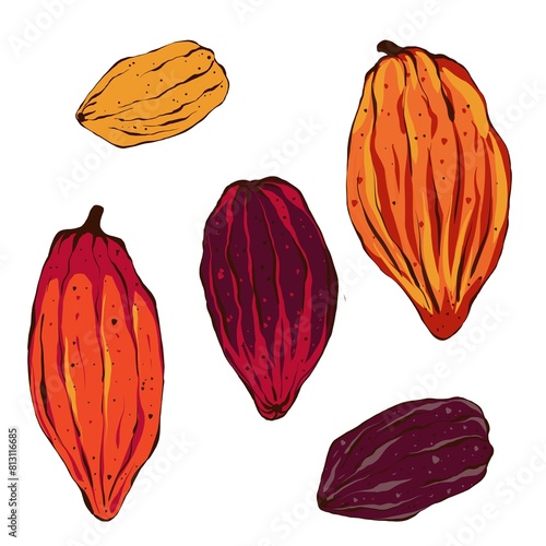Set of cocoa beans and leaves. Hand drawn illustration in flat style isolated on white background. Organic product. Sketch for cafe, packaging, menu. Plant parts for label, logo, tag design.