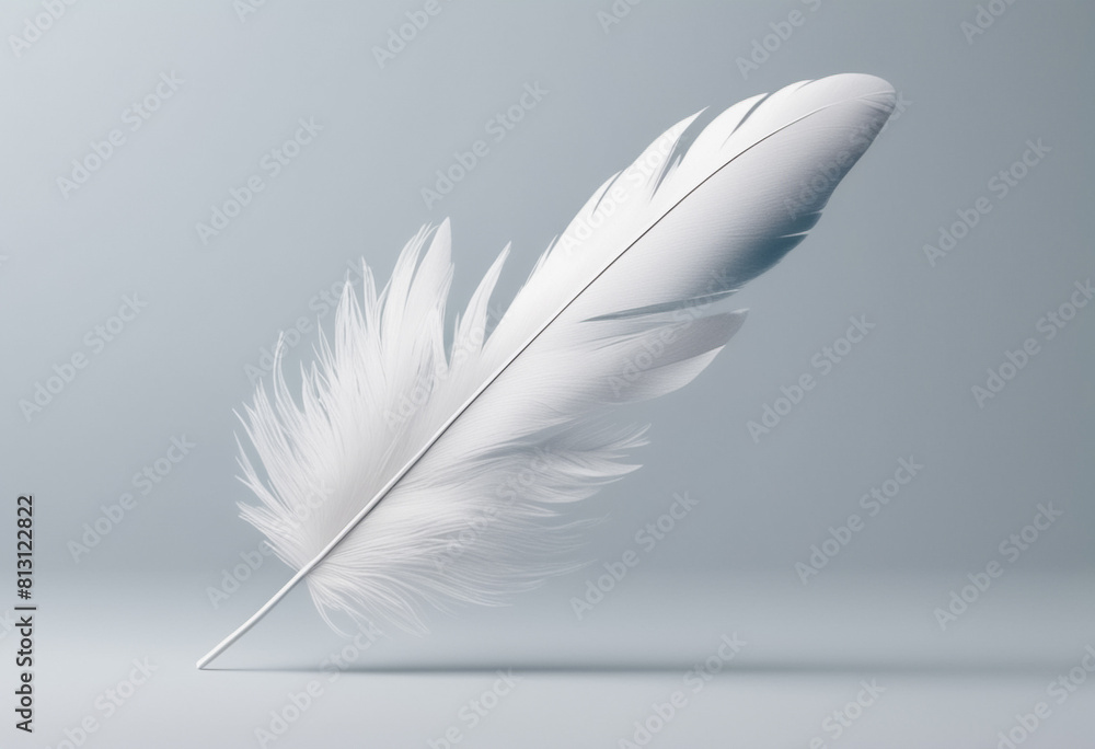 feather isolated on white background feather isolated on white background