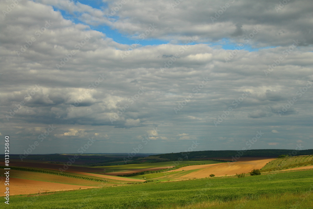 Fototapeta premium A field with a body of water in the distance