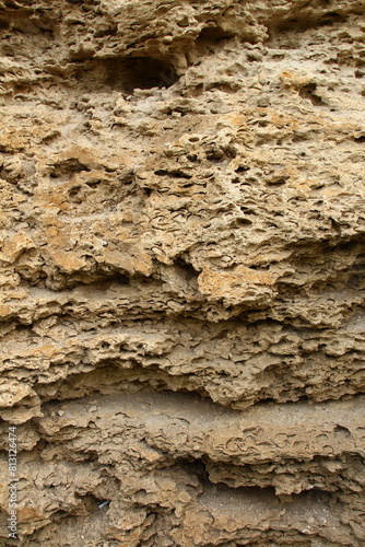 A close-up of some rocks