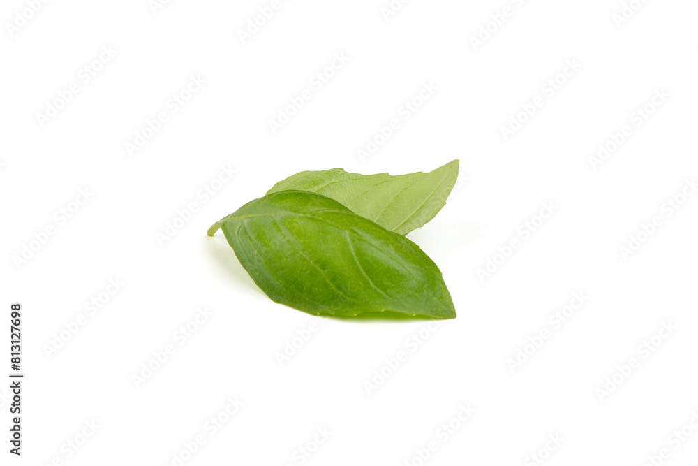 Fresh organic basil leaves, close-up, isolated on white background. Fresh organic basil leaves, close-up, isolated on white background.