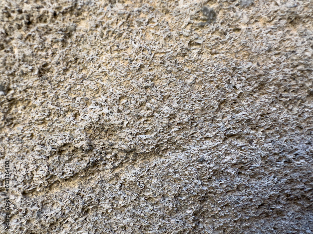 rock close up texture rock close up texture