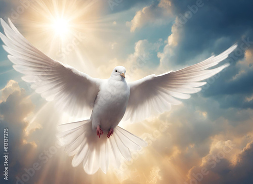 Holy spirit represented by a dove, White dove of peace with intense sun light flying on a blue sky holy spirit pentecost sunday