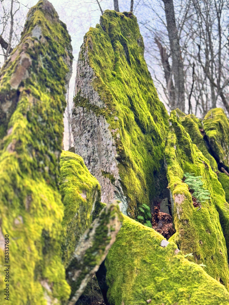 northern sharp rocks
