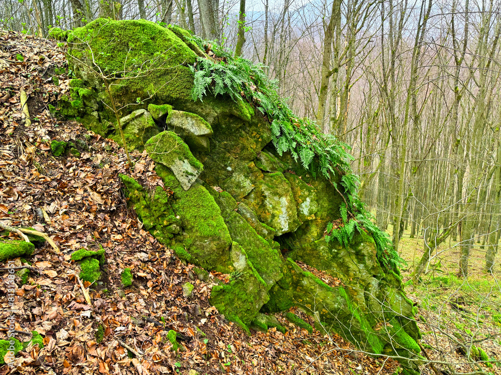northern sharp rocks