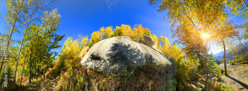 Obraz na płótnie The Sokilsky ridge in the Carpathians w salonie