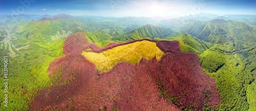 Obraz na płótnie drone flies over a spring Carpathian peak with an interesting phenomenon - the mountain forest on the mountain is green up to a certain height, and above without leaves w salonie