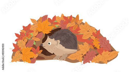Cute hedgehog cartoon character living in burrow made from autumn leaves isolated on white