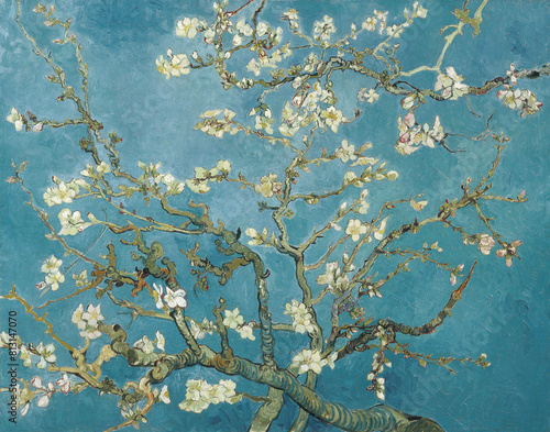 Vincent van Gogh's Almond blossom (1890) famous painting photo