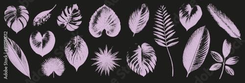 Trendy elements are tropical leaves with retro photocopy effect. Realistic grain effect. Vector illustration.