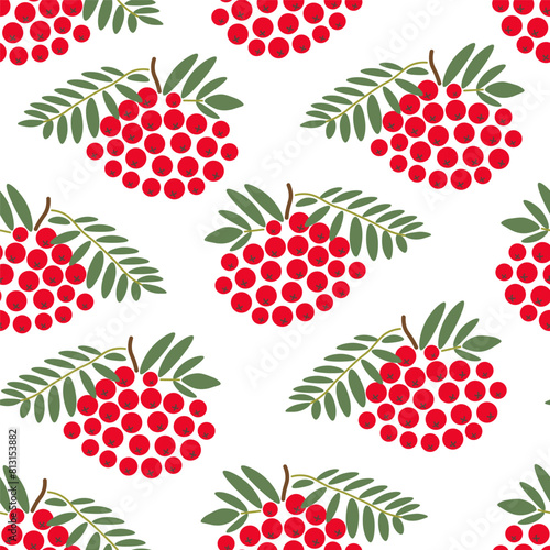 color isolated seamless pattern rowan berries in flat shape style in vector. template for backdrop textile wallpaper wrapping background print decor design