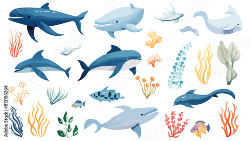 Ocean marine animals and seaweed colored sketch vec