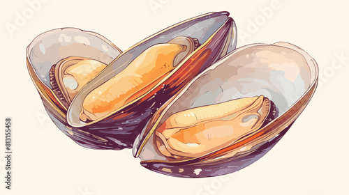 Open mussel shell valves with mollusk hand drawn sk photo