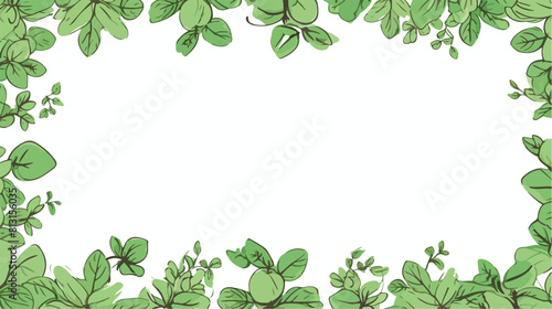 Oregano natural herb horizontal card or frame desig photo
