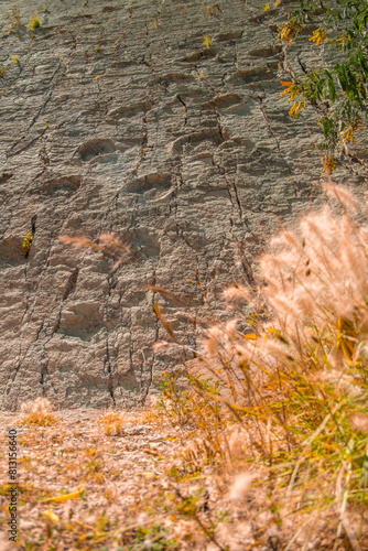 Cal Orcko near Sucre in Bolivia: wall full of dinosaur footprints photo