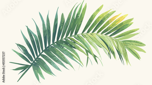 Palm tree branch with green leaves sketch vector il photo