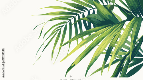 Palm tree branch with green leaves sketch vector il
