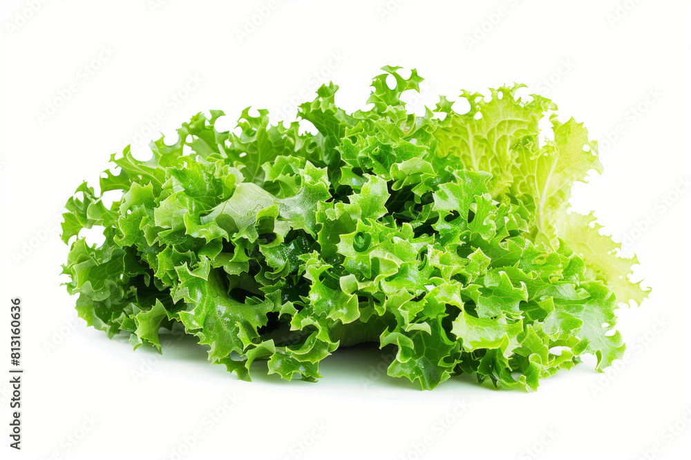 A head of crisp lettuce separated from any surroundings, showcasing its crunchy texture and versatility in salads and wraps. Concept of leafy greens and healthy eating. Generative Ai. A head of crisp lettuce separated from any surroundings, showcasing its crunchy texture and versatility in salads and wraps. Concept of leafy greens and healthy eating. Generative Ai.