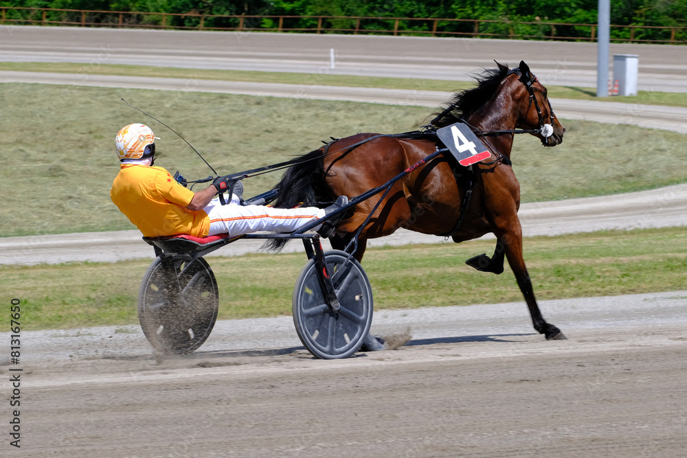 Racing horses trots and rider on a track of stadium. Competitions for trotting horse racing. Horses compete in harness racing. Horse runing at the track with rider.
Racing horses trots and rider on a track of stadium. Competitions for trotting horse racing. Horses compete in harness racing. Horse runing at the track with rider.