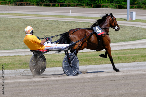 Racing horses trots and rider on a track of stadium. Competitions for trotting horse racing. Horses compete in harness racing. Horse runing at the track with rider.
