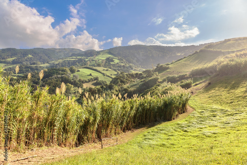 Landscape of hilly valley Sao Miguel island, Portugal