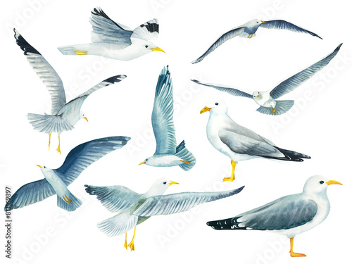 Set of watercolor flying in the sky and standing seagulls isolated on white background. Hand drawn illustration on the theme of sea fishing. Children's, marine, tourist. For design, prints, patterns