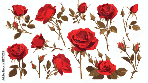 Red rose blooms set with branch of summer flower an