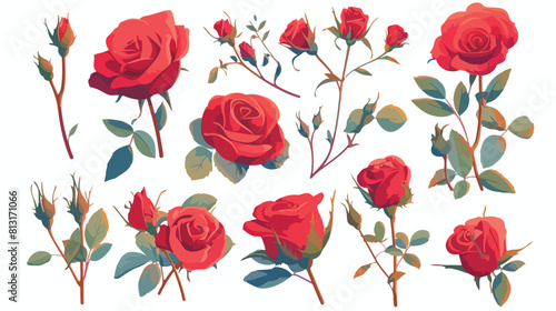 Red rose blooms set with branch of summer flower an