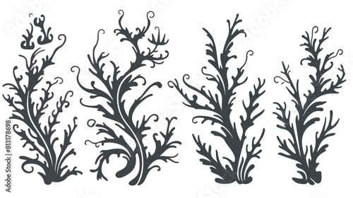 Seaweed kelp or spirulina in monochrome sketch styl