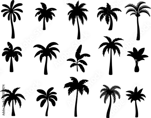 Pixel perfect icon set of tropical palm tree plant silhouette summer beach. Thin line icons flat vector illustrations isolated on white and transparent background  