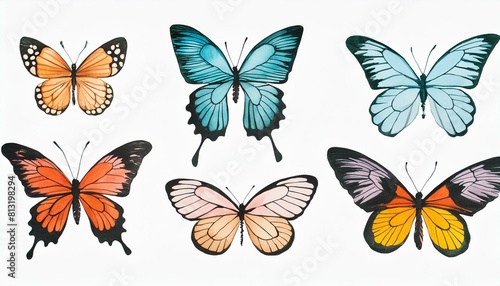 watercolor set vector illustration of tropical butterfly isolated on white background  © b13