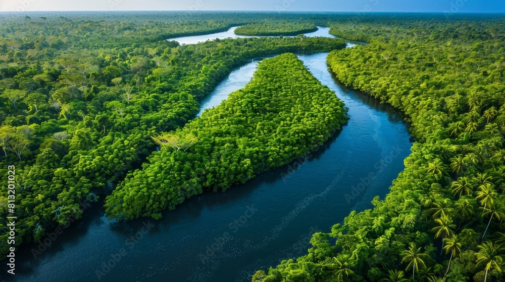 The photo shows a top view of the river flowing through the green mangrove forest.