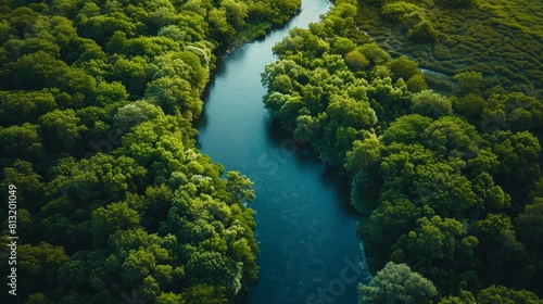 The photo shows a top view of a river flowing through a dense green forest. The river is winding its way through the trees, and the forest is full of lush vegetation. photo