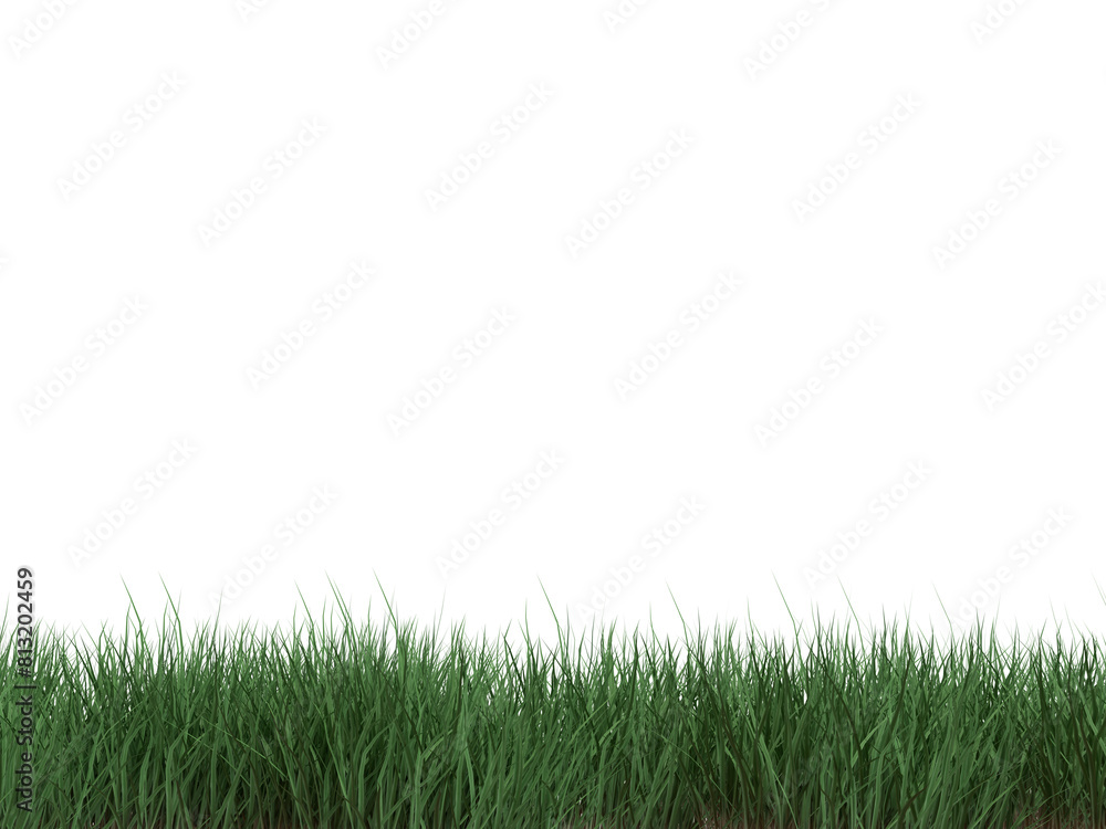 3D RENDER LAWN, WOOD GRASS ON ISOLATED BACKGROUND 3D RENDER LAWN, WOOD GRASS ON ISOLATED BACKGROUND