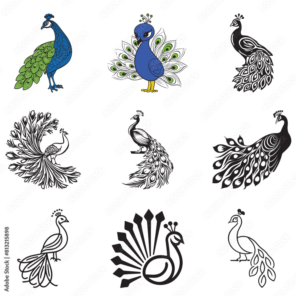 set of peacock vector designs, show-off, prance, peafowl, fop, braggart, strut, swaggerer, cartoon, black, duck, domestic, design, cute, bald, background, beautiful, wildlife, wilderness, stand, scrap set of peacock vector designs, show-off, prance, peafowl, fop, braggart, strut, swaggerer, cartoon, black, duck, domestic, design, cute, bald, background, beautiful, wildlife, wilderness, stand, scrap