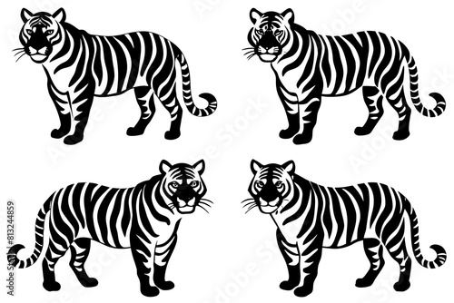 tiger line art silhouette illustration
