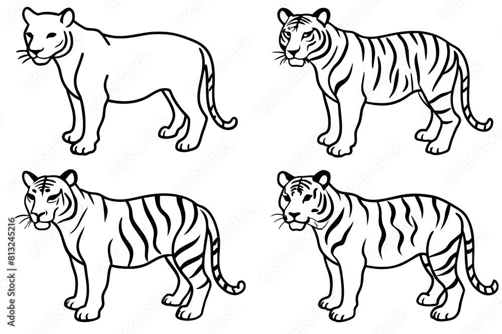 tiger line art silhouette vector illustration tiger line art silhouette vector illustration