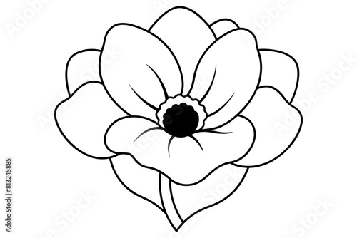 anemone flower vector illustration