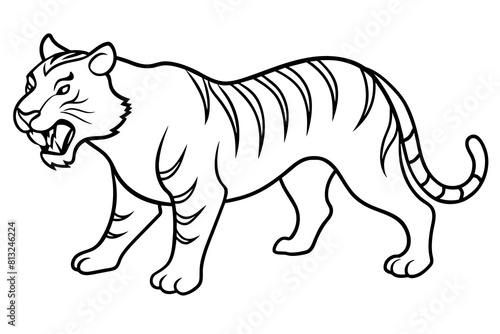 tiger cartoon vector illustration