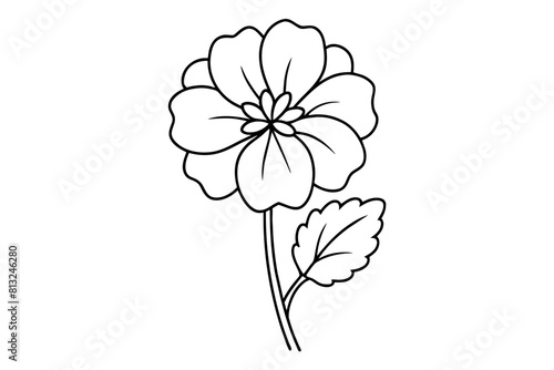 geranium flower vector illustration