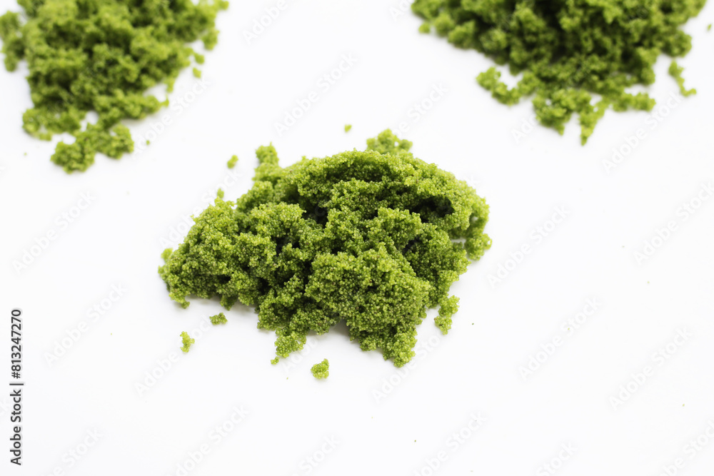 Wolffia globosa or swamp algae, water meal Wolffia globosa or swamp algae, water meal