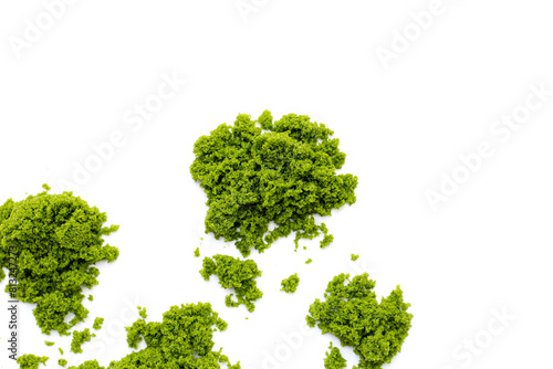 Wolffia globosa or swamp algae  water meal