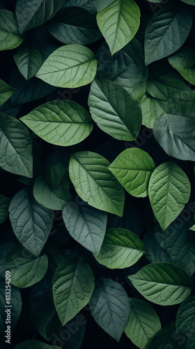 Image of Tree Leaves and Plants, Pattern Style, For Wallpaper, Desktop Background, Smartphone Phone Case, Computer Screen, Cell Phone Screen, Smartphone Screen, 9:16 Format - PNG