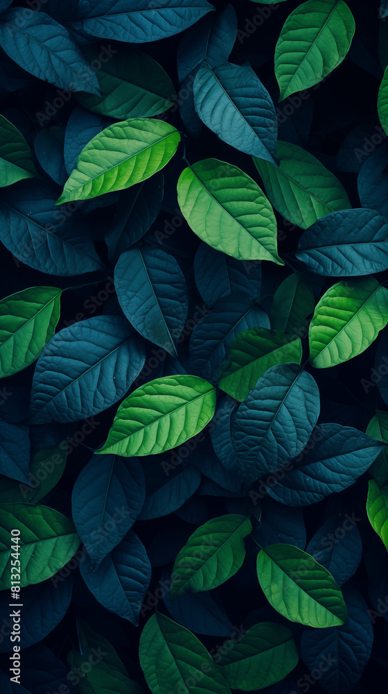 Image of Tree Leaves and Plants, Pattern Style, For Wallpaper, Desktop Background, Smartphone Phone Case, Computer Screen, Cell Phone Screen, Smartphone Screen, 9:16 Format - PNG Image of Tree Leaves and Plants, Pattern Style, For Wallpaper, Desktop Background, Smartphone Phone Case, Computer Screen, Cell Phone Screen, Smartphone Screen, 9:16 Format - PNG