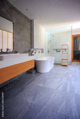 Modern minimalist bathroom interior in shades of grey, modern bathroom cabinet, white sink, wooden vanity, interior plants, bathroom accessories, bathtub and shower, white and blue walls