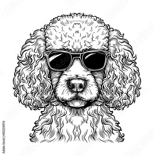 poodle dog sunglasses engraving black and white outline