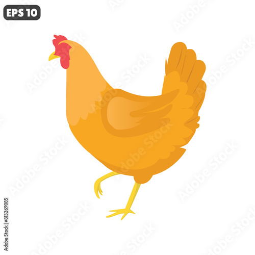 chicken vector isolated on white background