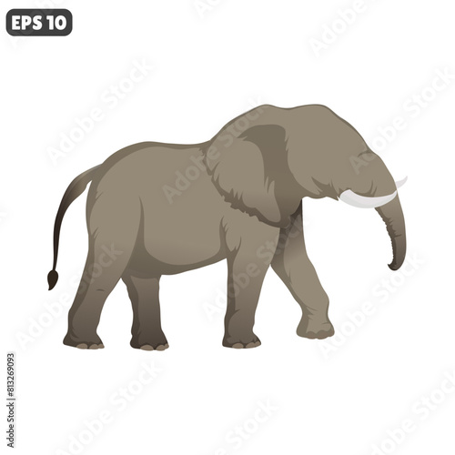 elephant animal vector isolate on white background © Luasstd