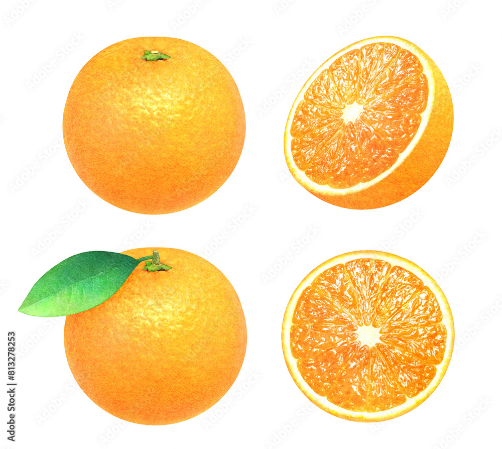 Illustration of whole oranges, a halved orange, a sliced orange, and a leaf. Fresh fruit on white background. Watercolor. Illustration of whole oranges, a halved orange, a sliced orange, and a leaf. Fresh fruit on white background. Watercolor.