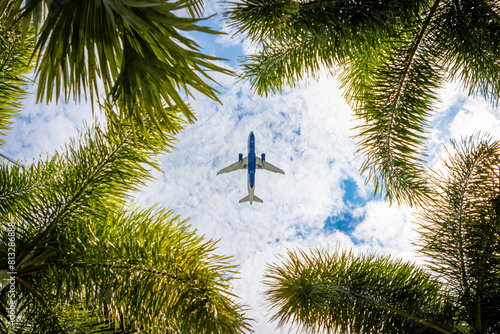 Fototapeta Naklejka Na Ścianę i Meble -  Airplane flying above palm trees